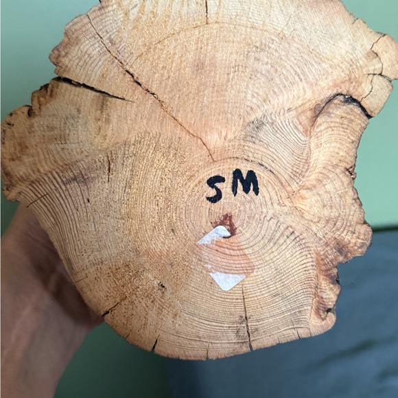 Live Edge Red Oak Bowl Rustic Home Living Artisan Natural Woodcraft Gift 4"x5" - Picture 5 of 8